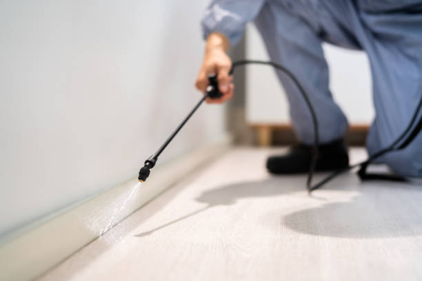 Bed Bug Pre-Treatment Preparation Assessment in Wellsville
