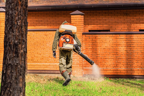 Bed Bug Clearance Verification and Documentation in Wellsville